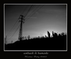 contrasti di tramonto contrasti di tramonto