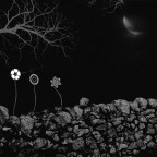 una notte diversa