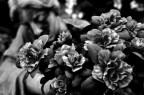 Monumentale_2 Monumentale_2