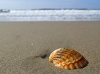 Mare d'inverno Mare d'inverno