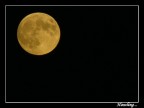 Luna piena presa dalla mia coolpix 8700... che pi� di cos� non pu� fare...