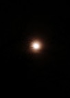 Luna...luce! Luna...luce!