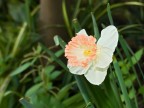 Una macro semplice semplice Una macro semplice semplice