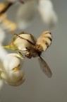 Aggrappata Aggrappata
