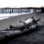 Quasi una...natura morta. Quasi una...natura morta.