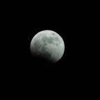 Moon Moon