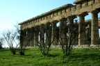 scavi di paestum
