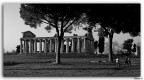 Tempio negli scavi di Paestum Tempio negli scavi di Paestum