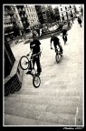 trial trial