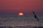 tramonto tramonto