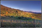 Nei Pressi di Gaiole in Chianti Nei Pressi di Gaiole in Chianti
