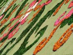 Colori Colori