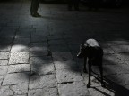 cecità cecità