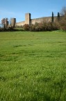 Monteriggioni Monteriggioni