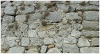 Muro Muro