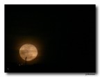 spunta la luna a Salerno spunta la luna a Salerno