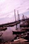 GENOVA GENOVA