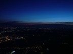 alba alba