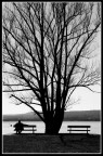 In riva al lago In riva al lago