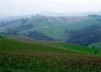 COLLINE PESARESI COLLINE PESARESI