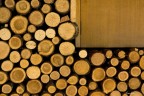 Solo legno Solo legno