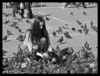 a raccolta da me... a raccolta da me...