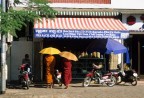 cambogia cambogia