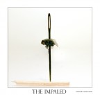 the impaled (remake)