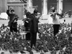 Piazza San Marco...... Piazza San Marco......