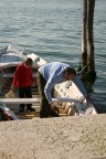 la saggeza ai figli la saggeza ai figli