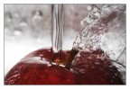 Red apple! Red apple!