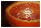 Orange & Drop Orange & Drop