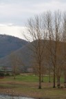 tranquillita' tranquillita'