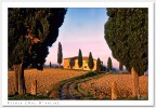 Casolare con Cipressi Casolare con Cipressi
