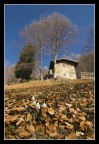 Timido inizio di primavera Timido inizio di primavera