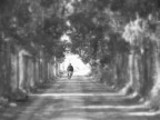 pedalare pedalare
