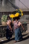 GUATEMALA GUATEMALA