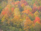 Autunno
