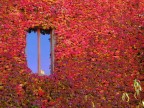Allegria autunnale Allegria autunnale