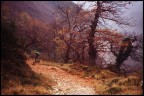Autunno sulle Apuane 2 (diverso taglio) Autunno sulle Apuane 2 (diverso taglio)