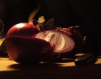 ode alla cipolla ode alla cipolla