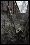 ::: Rebirth ::: ::: Rebirth :::