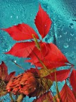 autunno autunno