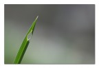 Il buco con la foto attorno Il buco con la foto attorno