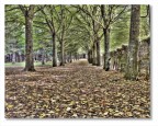 Green HDR Green HDR