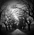 ....lunga e dritta correva la strada.....