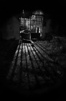 vignetting vignetting