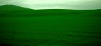 Verde... Verde...