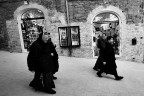 Il provolone Il provolone