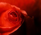 Rosso e nero! Rosso e nero!